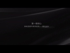 Foglia di acero 80V di Geely