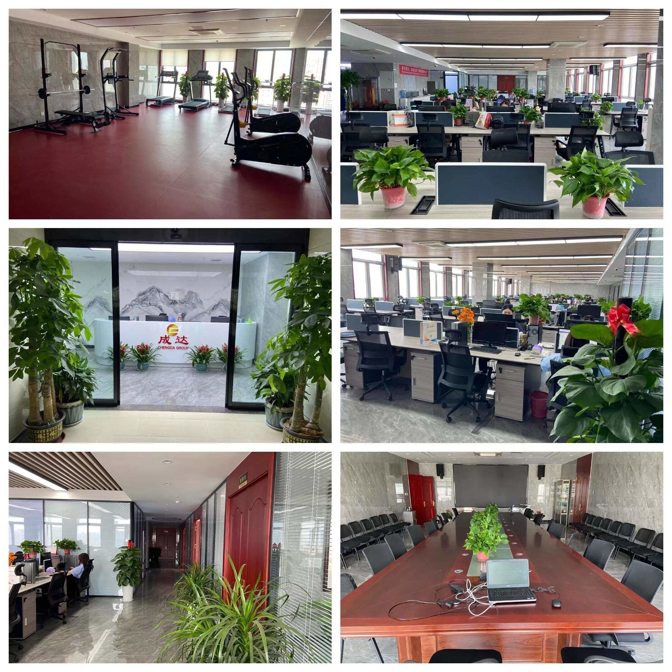 Porcellana HUNAN DECOMLLC SUPPLY CHAIN CO., LTD. Profilo Aziendale