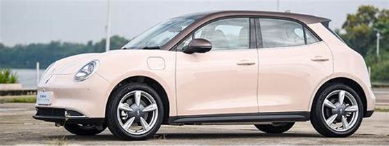 veicoli elettrici amichevoli di 150km/h ECO 400KM ORA buona Cat Pure Electric Cars