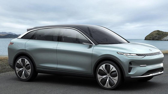 Veicoli elettrici ad alta velocità automobilistici SUV New Energy Lingpao C11 per gli adulti