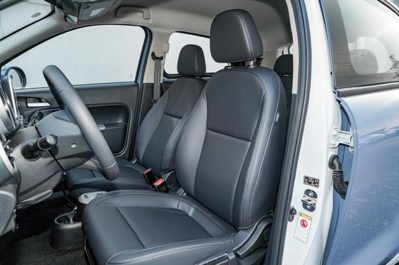 Nero elettrico Cat New Energy Vehices 102km/h di Euler delle automobili di 351KM il mini EV per signora