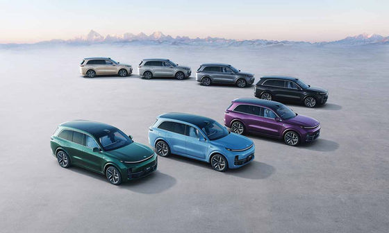 42.8kWh batteria 6 Seat SUV elettrico