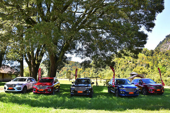 110km 4 automobili elettriche GWM Haval H6 DHT PHEV dell'azionamento della ruota tappano in veicoli ibridi