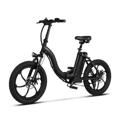 Bici elettrica della gomma grassa SMONTABILE della BATTERIA EB7 con DUE SEDILI