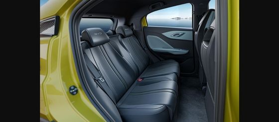 Nuova auto BYD EV lanciata- Adults EV Byd Seagull 2023 Free Edition Solar Electric Car