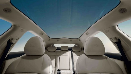 Zhiji LS6 Potenza massima di 575 kW Tutte le auto elettriche con velocità massima di 252 kmh Veicolo sportivo elettrico