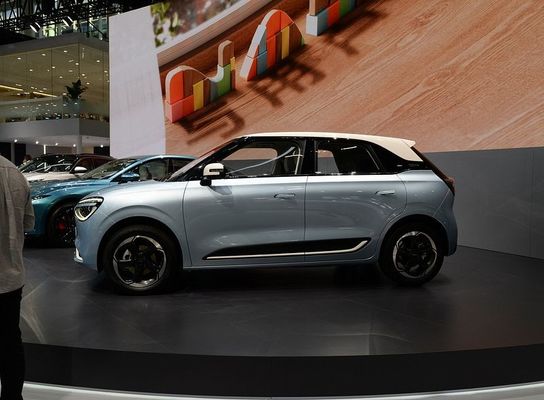 Veicolo elettrico puro Dongfeng Nano 01 2024 330Liter Con 140km/h velocità massima Cina Nuova energia auto elettrica