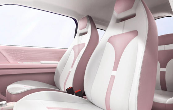 Opzioni multi-colore Mini Ev Cars Zhido Rainbow con CLTP 205km 17,13/17,3kwh Batteria per 20&30kw di potenza