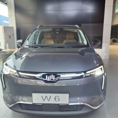 WM W6 Large Electric Cars 520KM 620KM New Energy Weltmeister Electric Car SUV