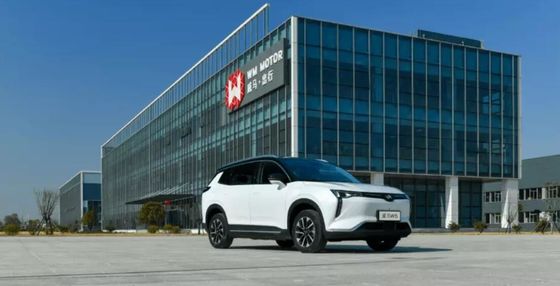 WM W6 Large Electric Cars 520KM 620KM New Energy Weltmeister Electric Car SUV
