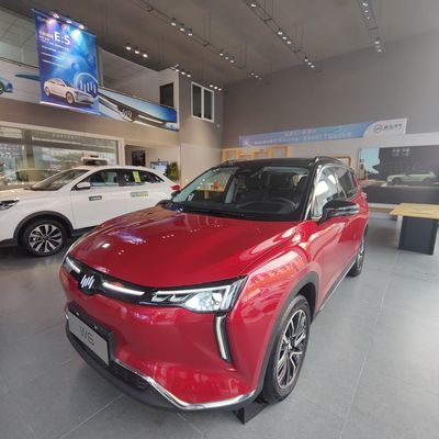 WM W6 Large Electric Cars 520KM 620KM New Energy Weltmeister Electric Car SUV